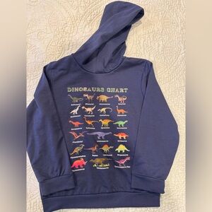 Kids Navy Dinosaurs Chart Hoodie Sweatshirt Size 120 (Approx US 6/7)